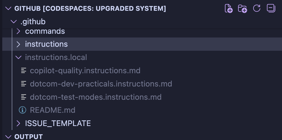 Instructions local file in the workspace